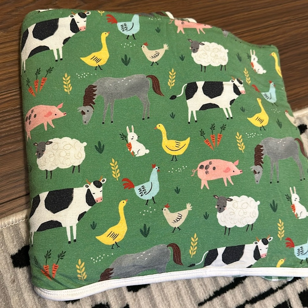 Little sleepies blanket